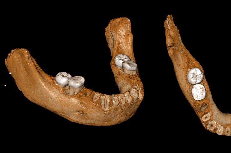 Human_Relative_Neanderthal_China_Siberia
