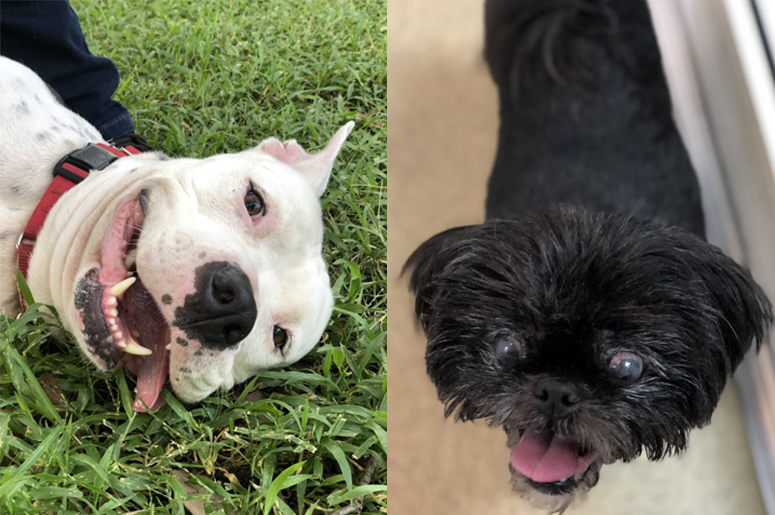 december yappy hour