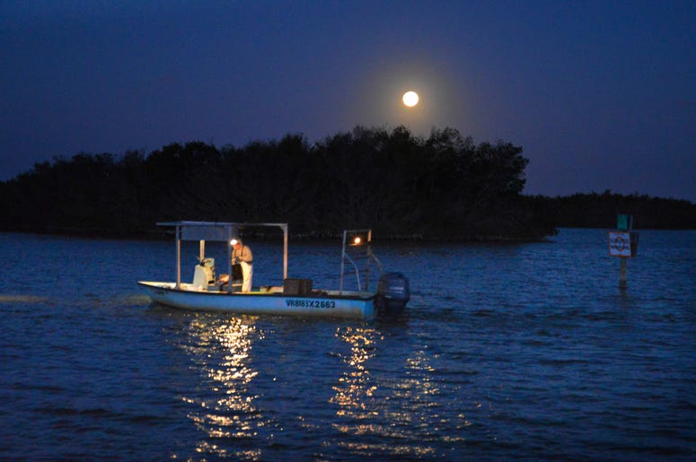 Blue moon over water Blue moon over water