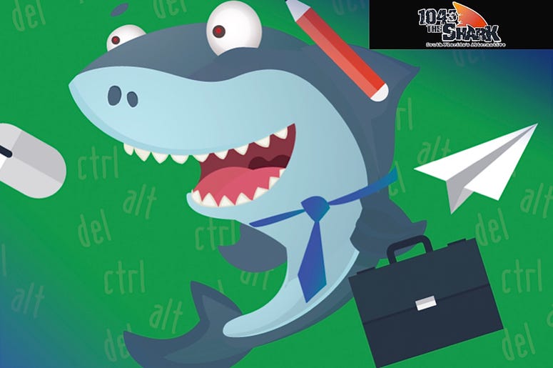 office shark