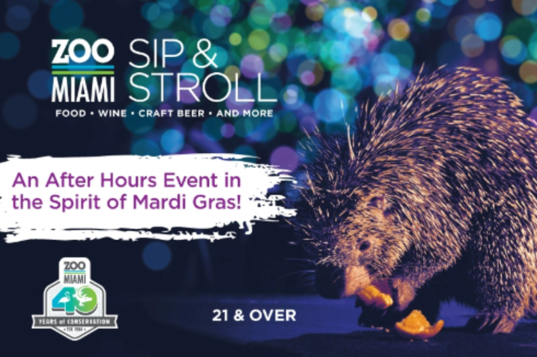 sip and stroll