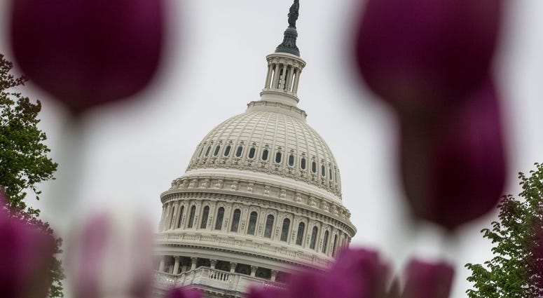The U.S. Capitol Building stands on April 18, 2019 in Washington, D.C.