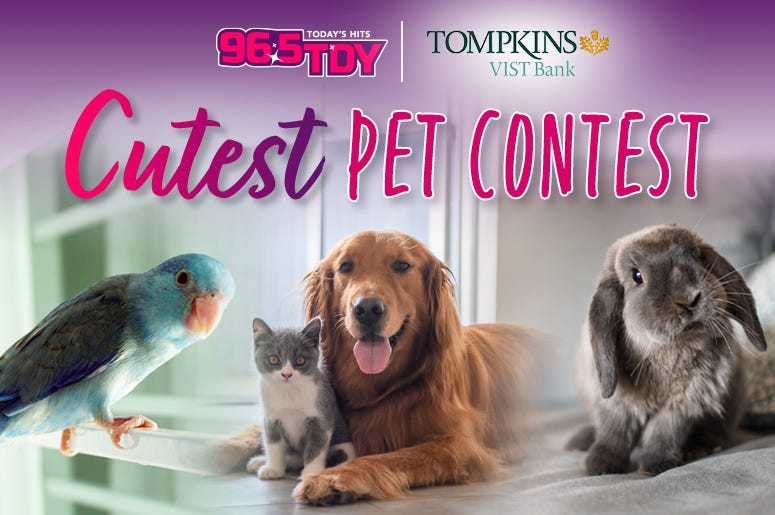 CutestPetContest