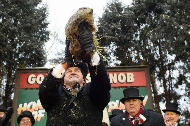 TDY To-Do List: Groundhog guesses, greenhouse getaways, and more for Jan. 31 to Feb. 2