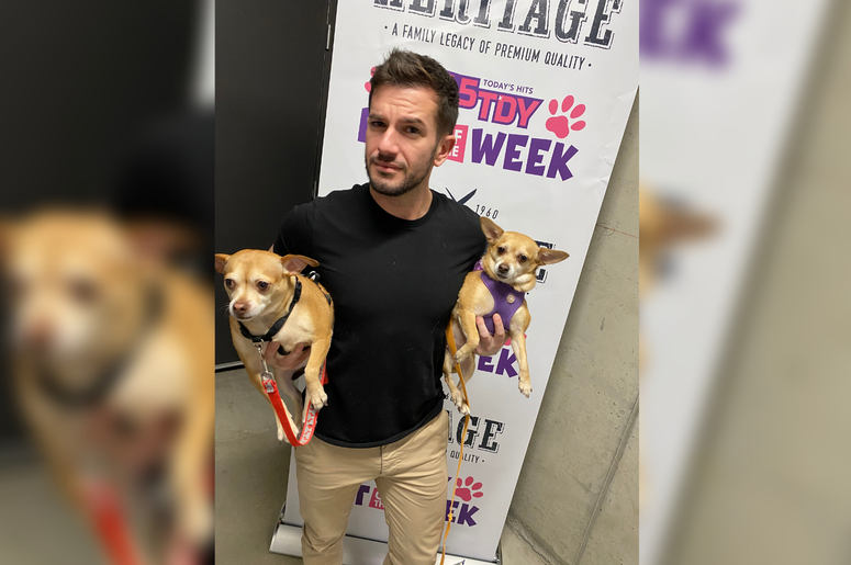 PSPCA Pets of the Week with Bennett: DeDe & Rhapsody