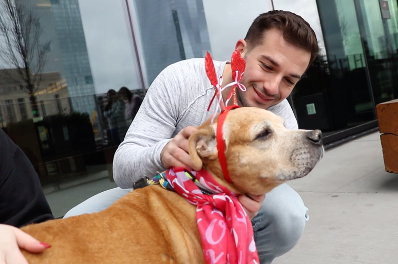 Meet Guppy, Bennett's PSPCA Pet of the Week