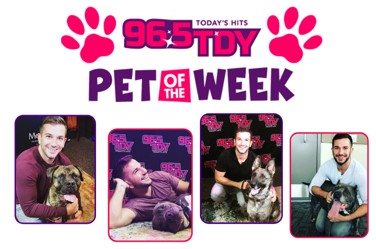 Bennett's PSPCA Pet of the Week