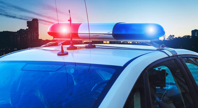 Police Car Lights late in the day