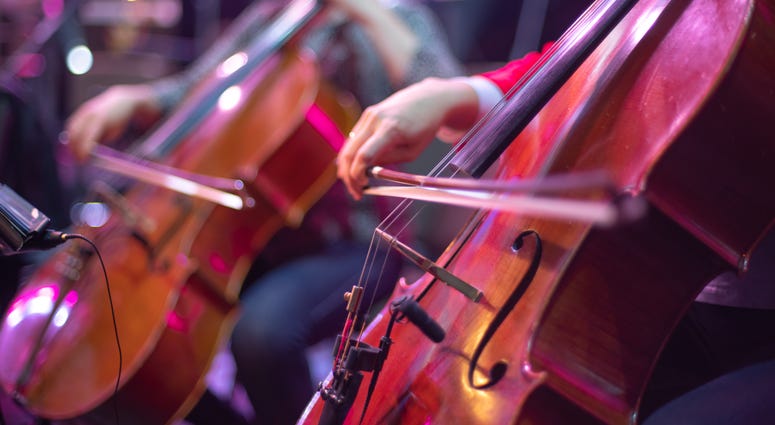 Cellos at a concert
