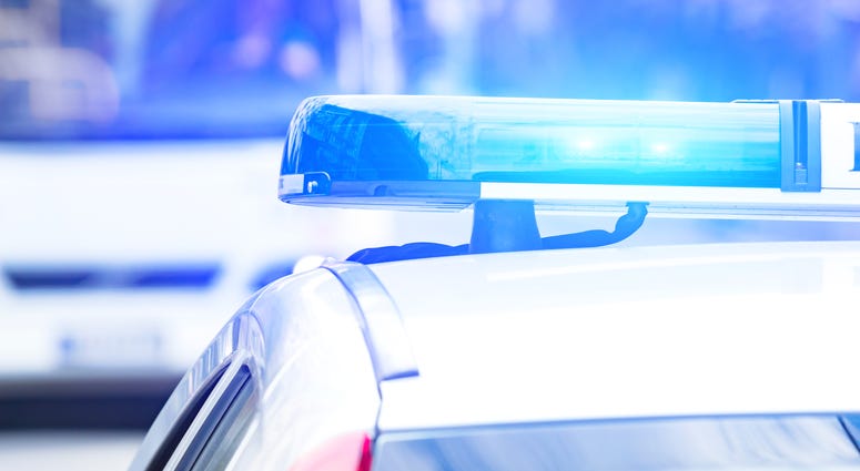 Police Blue Car Lights during the day
