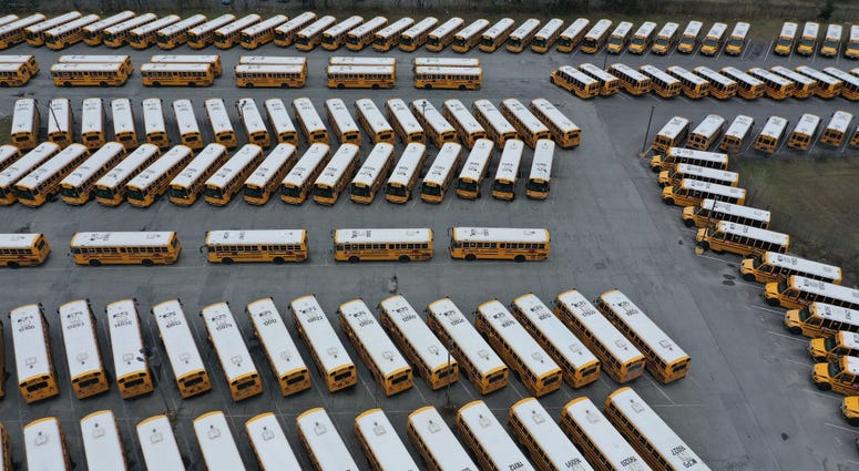 School Buses