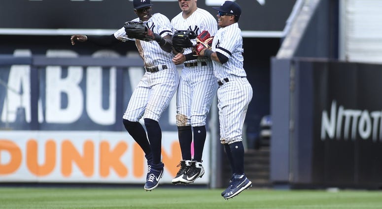 © Wendell Cruz-USA TODAY Sport