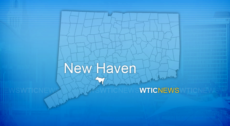 new haven