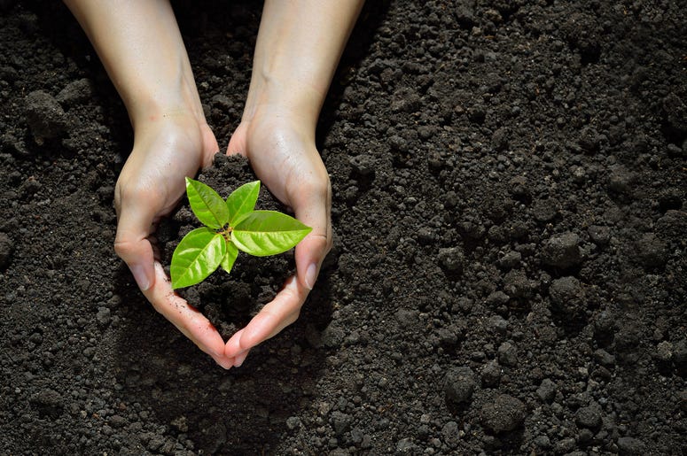 garden-soil-GettyImages-637583458.jpg