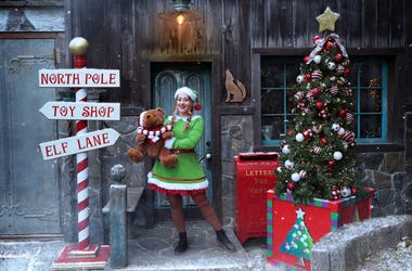 Santa the experience