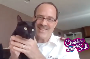 Salvation Army cat