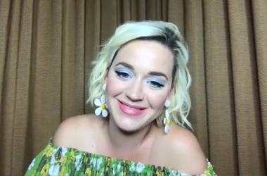Katy Perry Zoom Call