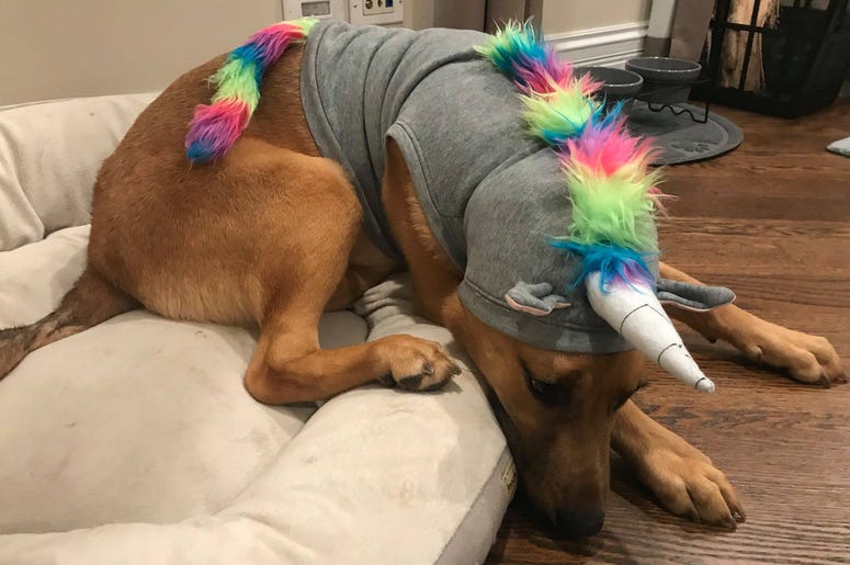 Jameson Unicorn Jameson Unicorn