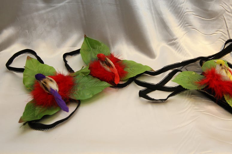 Panties Panties