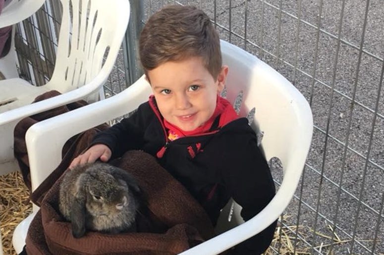 Tristan and A Bunny Tristan and A Bunny