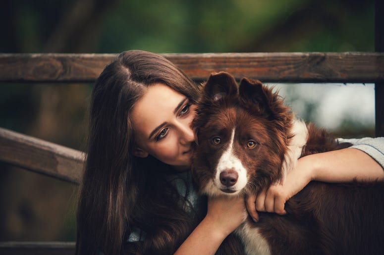 Dog Hugger Dog Hugger