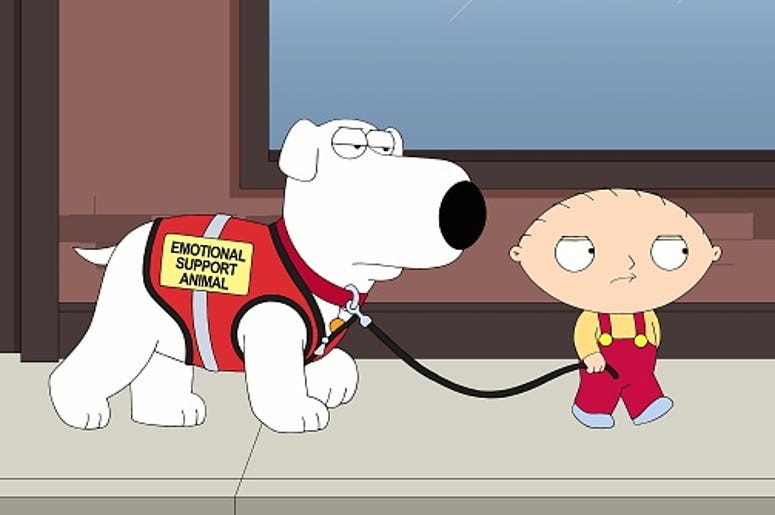 family guy