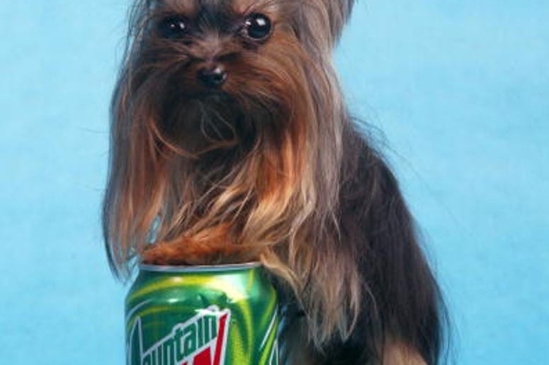 Mountain Dew
