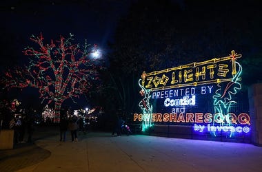zoo lights