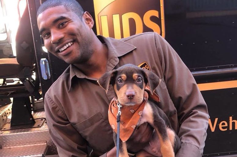 dog, UPS driver, delivery