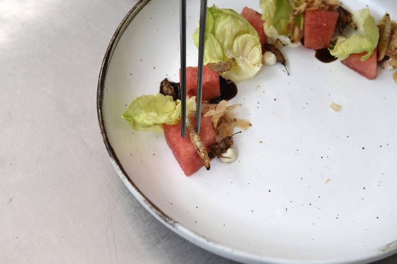 What Did You Find In Your Food? What Did You Find In Your Food?