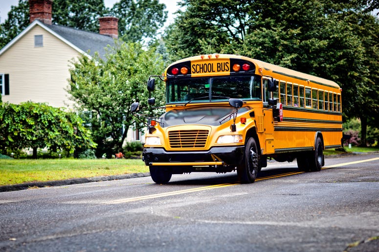 School Bus School Bus