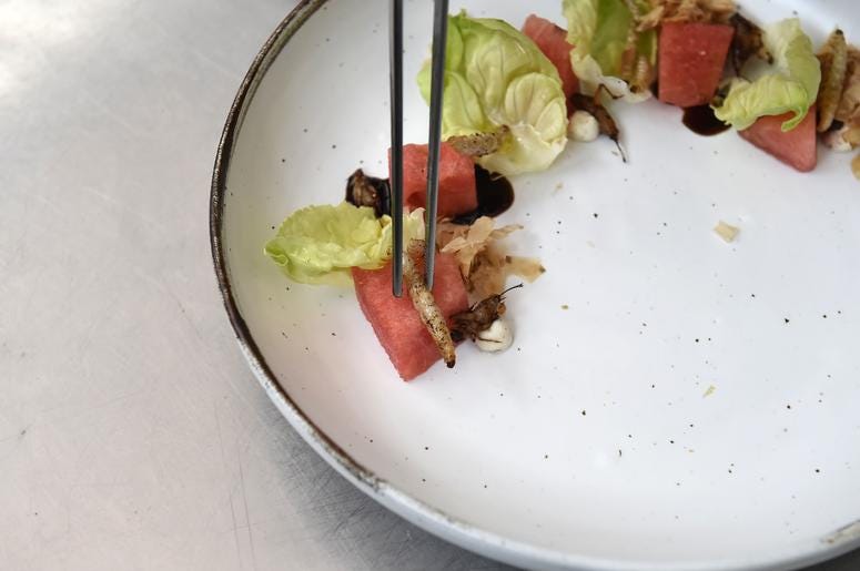 What Did You Find In Your Food? What Did You Find In Your Food?