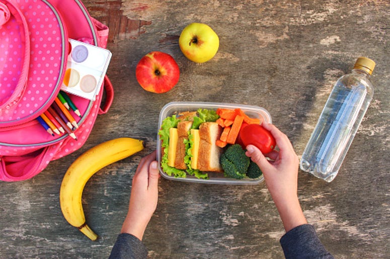 School Lunch, Sandwich, Cafeteria, Debt