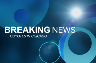 Breaking News, Scotty Kay, US*99 Morning Show, Coyote