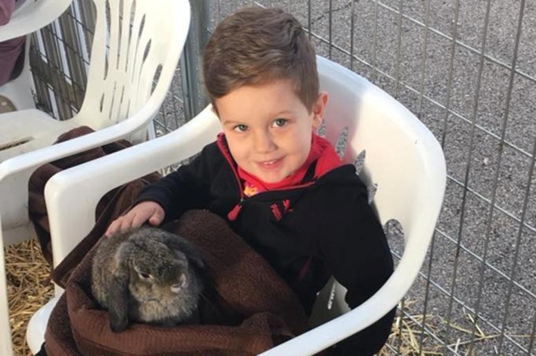 Tristan and A Bunny Tristan and A Bunny