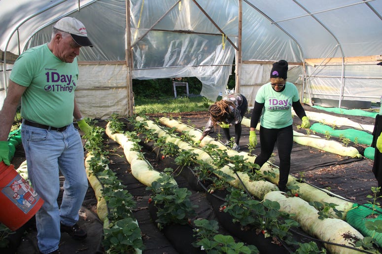 V-103 and Entercom Atlanta employees volunteer at Urban Farms in College Park, GA, on Earth Day 2019 V-103 and Entercom Atlanta employees volunteer at Urban Farms in College Park, GA, on Earth Day 2019