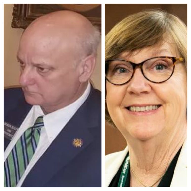 Sen Brandon Beach (l) and Sen Kay Kirkpatrick (r) have tested positive for Coronavirus Sen Brandon Beach (l) and Sen Kay Kirkpatrick (r) have tested positive for Coronavirus