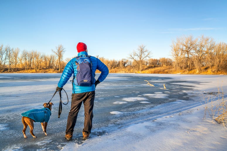 Dog on ice Dog on ice