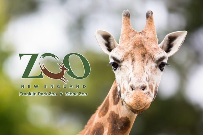 Can’t Beat Kennedy’s Franklin Park Zoo And Stone Zoo Ticket Giveaway
