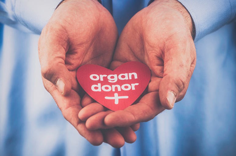 Organ Donor Organ Donor