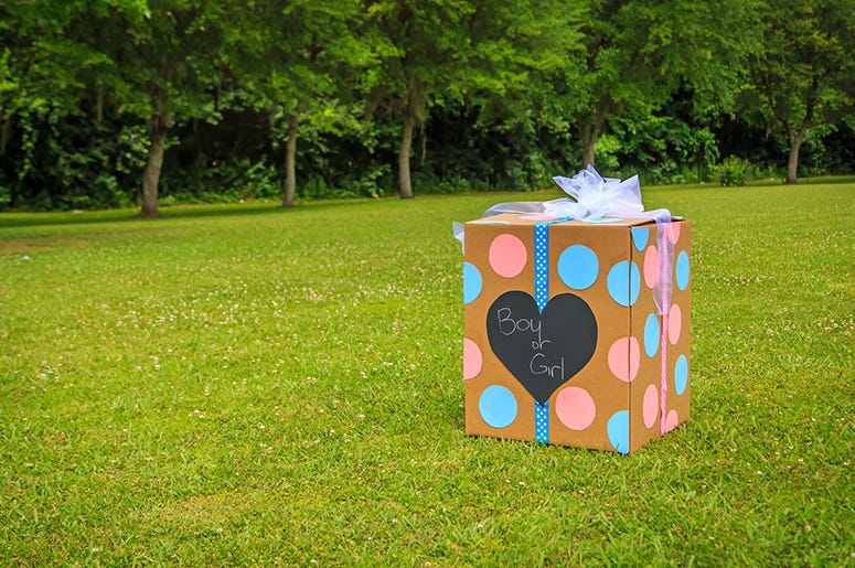 Gender Reveal Gender Reveal