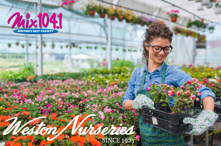 mix at weston nurseries