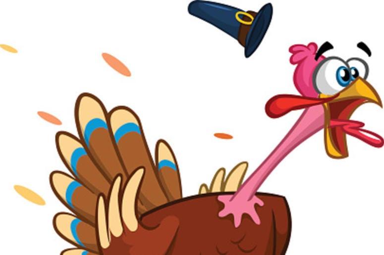 Scared Turkey