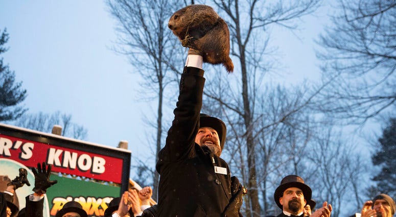 Punxsutawney Phil