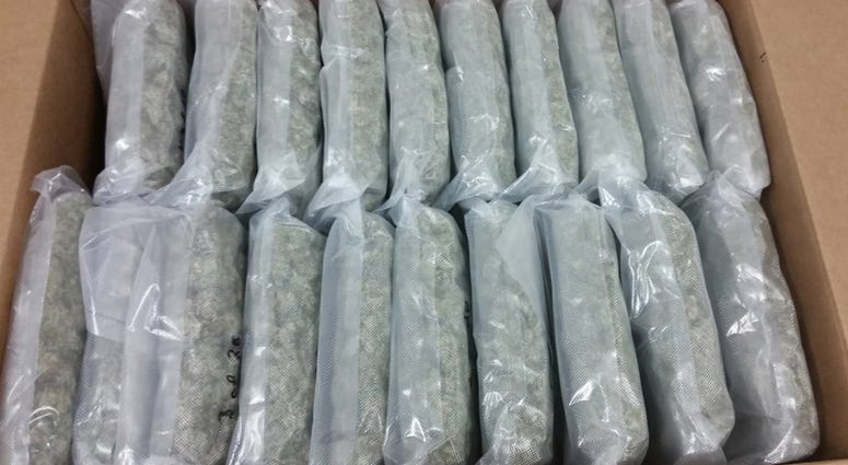 Marijuana seized at Blue Water Bridge Marijuana seized at Blue Water Bridge
