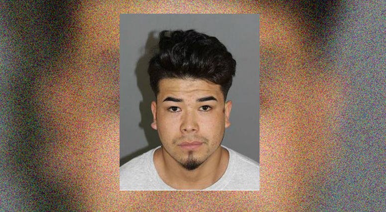 Miguel Cerda Miguel Cerda