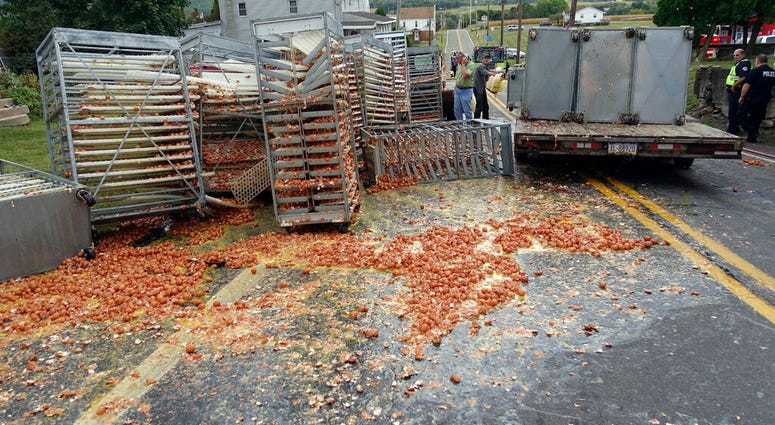 Smashed eggs clutter Route 125 Smashed eggs clutter Route 125
