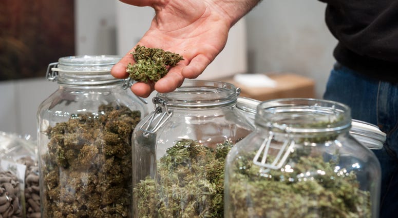 marijuana dispensary marijuana dispensary