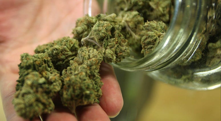 marijuana marijuana