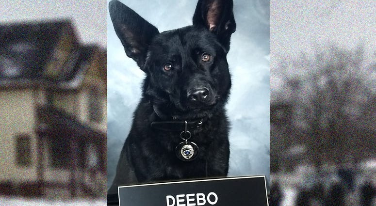 K-9 Officer Deebo